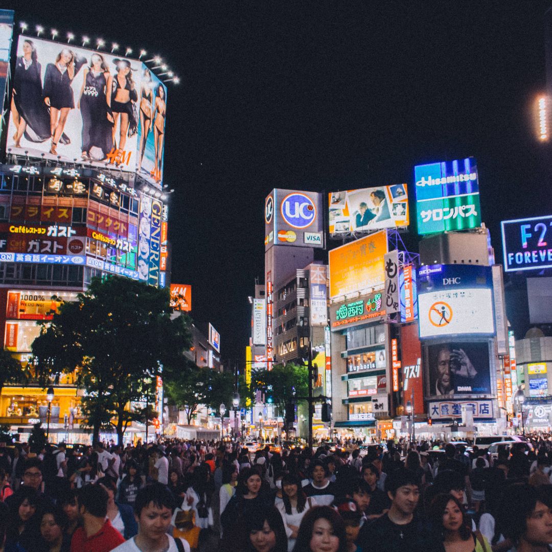 2040年問題と介護：超高齢社会を乗り越えるための社会システム